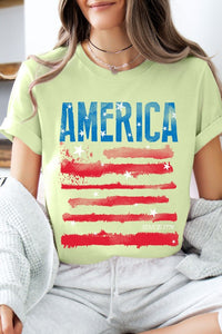 America Since 1776 Graphic T Shirts